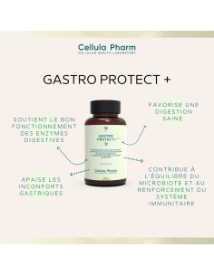 Gastro Protect+ – Soutien digestif et protection gastrique | Cellula Pharm 2