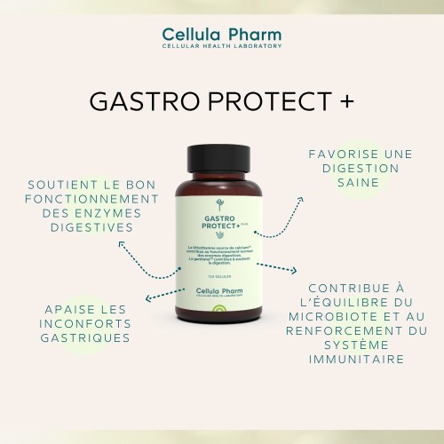 Gastro Protect+ | Digestive support and gastric protection - Cellula Pharm