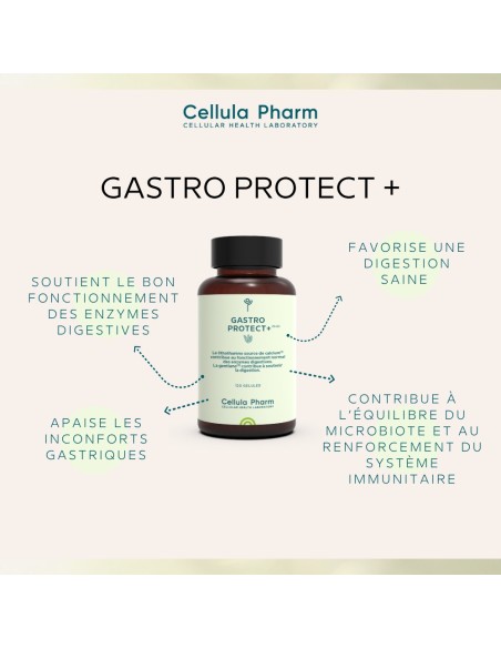 Gastro Protect+ – Soutien digestif et protection gastrique | Cellula Pharm - Bienfaits