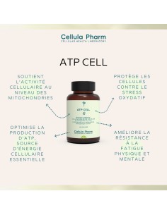 ATP CELL Cellula Pharm 60 gélules - Energie Cellulaire 2
