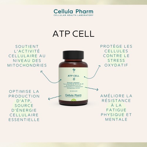 ATP CELL | Antioxidants and vitamins for cellular energy - Cellula Pharm