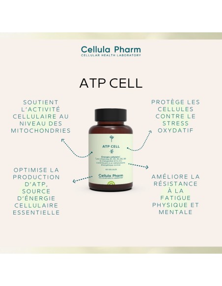 ATP CELL | Antioxidants and vitamins for cellular energy - Cellula Pharm