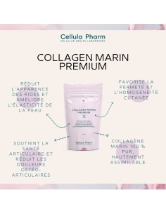 Collagène Marin Premium | Anti-aging supplement for skin and joints - Cellula Pharm 2