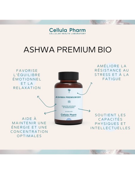 ASHWA PREMIUM BO Cellula Pharm - Anti stress naturel - Bienfaits