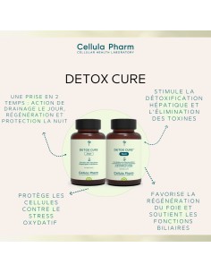 Detox Cure Day & Night | Complete liver detoxification program - Cellula Pharm 2