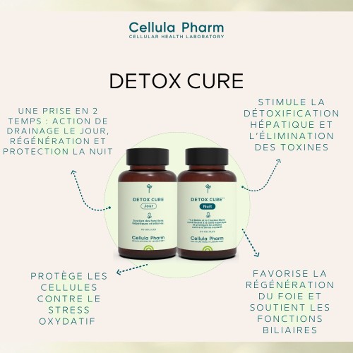 Détox Cure Jour & Nuit | Programme complet de détoxification hépatique – Cellula Pharm