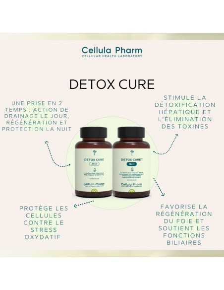 Detox Cure Day & Night | Complete liver detoxification program - Cellula Pharm