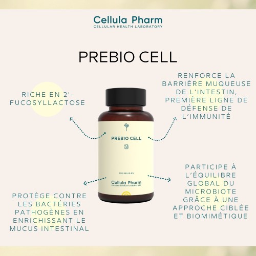 PREBIO CELL | Innovative prebiotic to strengthen the intestinal microbiota - Cellula Pharm
