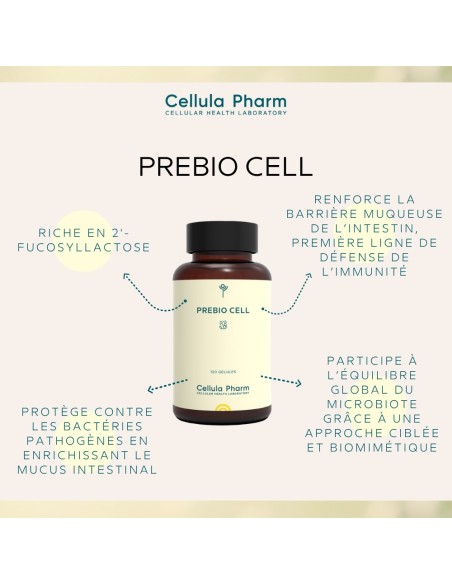 PREBIO CELL | Prébiotique innovant pour renforcer le microbiote intestinal – Cellula Pharm