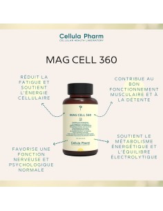 Mag Cell 360 | Magnesium bisglycinate, taurine and B vitamins to reduce fatigue and stress - Cellula Pharm 2