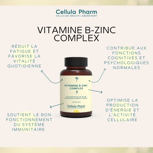 Vitamine B-Zinc Complex – Réduction de la fatigue et soutien immunitaire | Cellula Pharm - Bienfaits