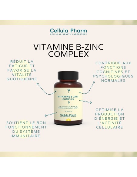 Vitamin B-Zinc Complex | Fatigue reduction and immune support - Cellula Pharm