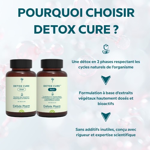 Détox Cure Jour & Nuit - Programme de détoxification hépatique de 20 jours - Points fort