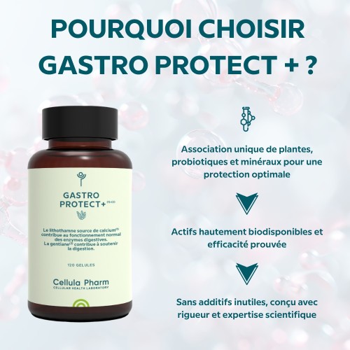 Gastro Protect+ | Digestive support and gastric protection - Cellula Pharm