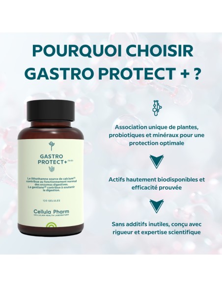 Gastro Protect+ – Soutien digestif et protection gastrique | Cellula Pharm - Points fort
