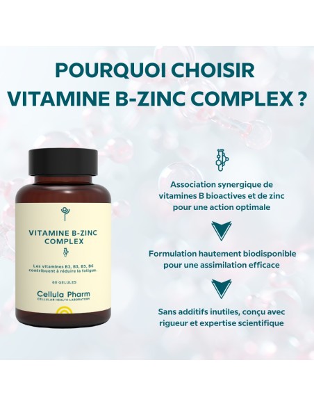 Vitamin B-Zinc Complex | Fatigue reduction and immune support - Cellula Pharm