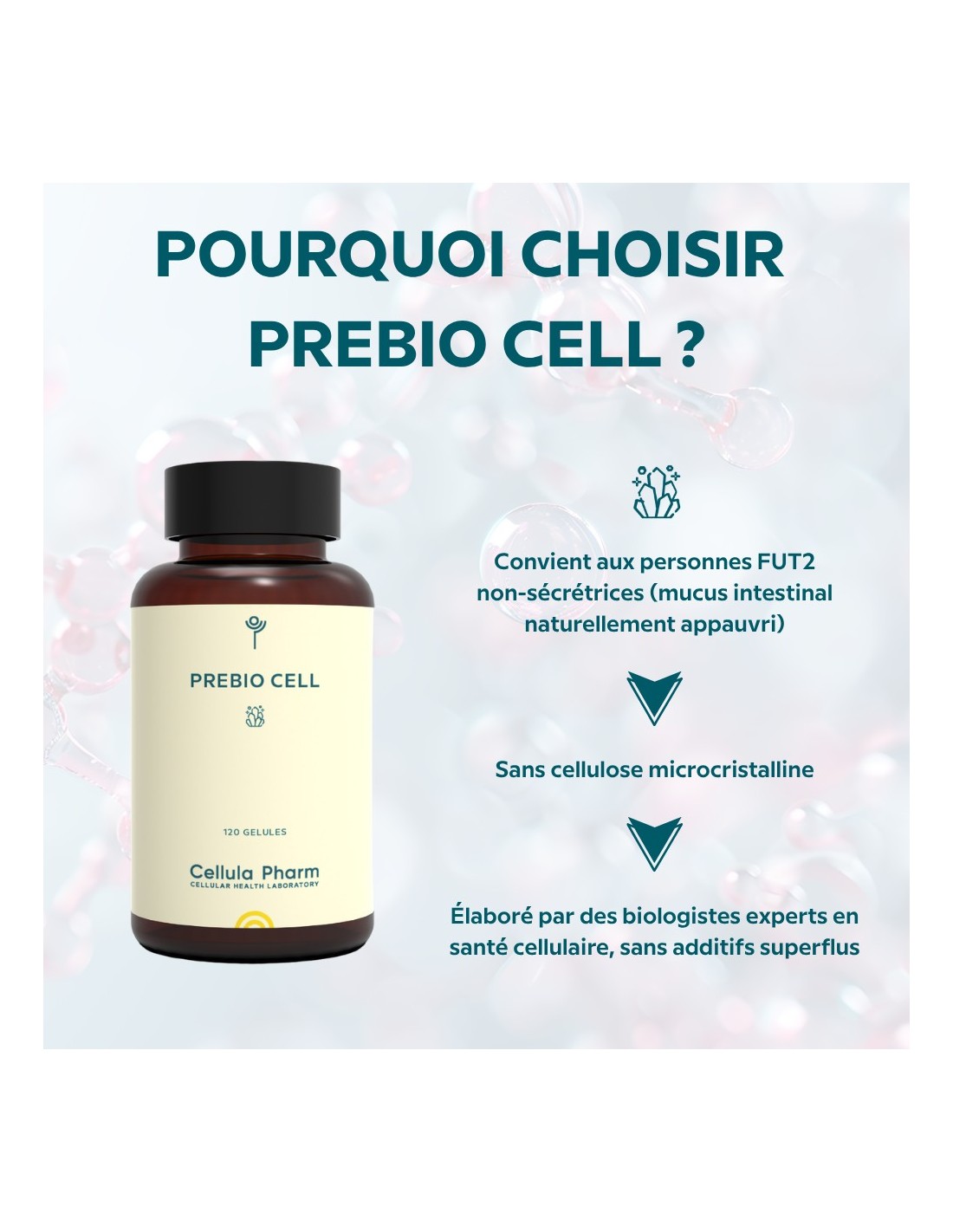 PREBIO CELL Pr biotique Innovant Pour Renforcer Le Microbiote 