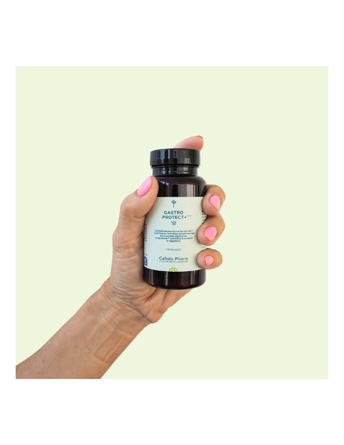 Gastro Protect Soutien Digestif Et Protection Gastrique Cellula Pharm