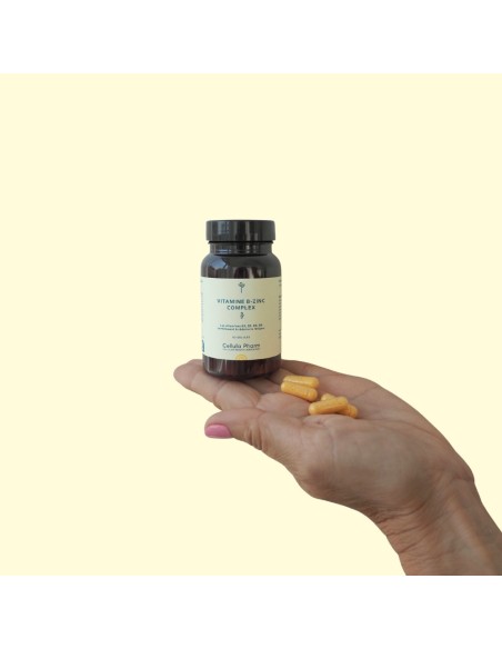 Vitamin B-Zinc Complex | Fatigue reduction and immune support - Cellula Pharm