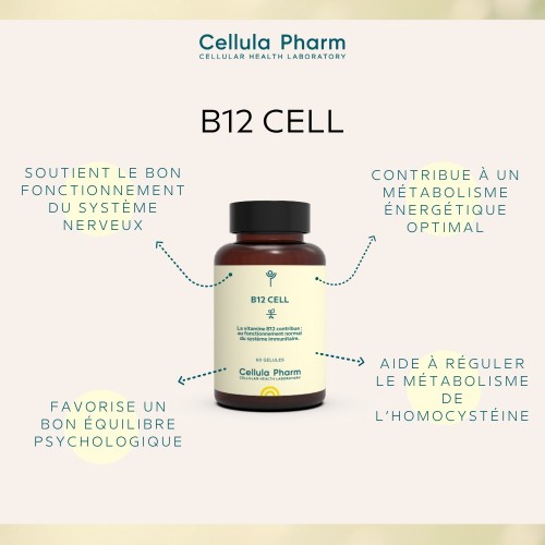 B12 CELL - Vitamine B12 méthylcobalamine - Cellula Pharm - Bienfaits