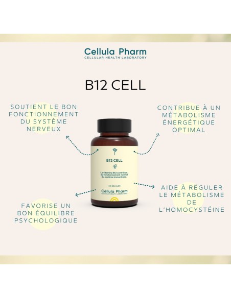B12 CELL - Vitamine B12 méthylcobalamine - Cellula Pharm - Bienfaits