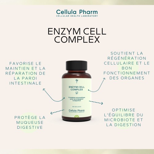 Enzym Cell Complex – Soutien de la paroi digestive et renforcement immunitaire | Cellula Pharm - Bienfaits