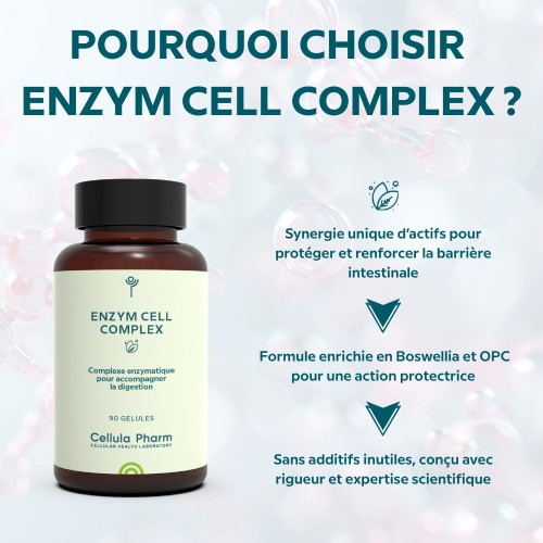 Enzym Cell Complex – Soutien de la paroi digestive et renforcement immunitaire | Cellula Pharm - Points fort