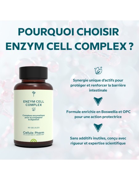 Enzym Cell Complex – Soutien de la paroi digestive et renforcement immunitaire | Cellula Pharm - Points fort