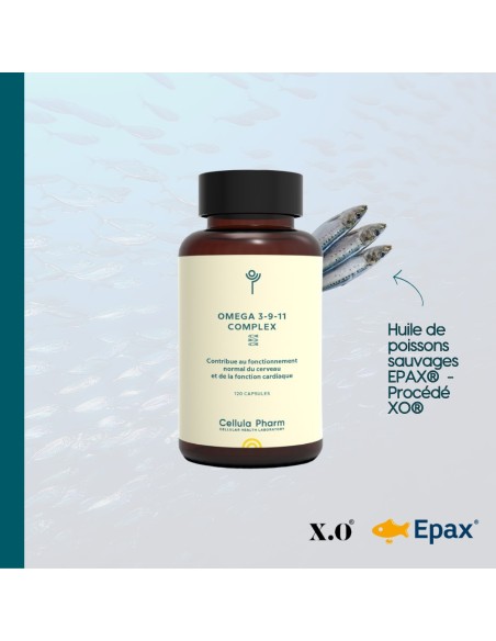 Omega 3-9-11 Complex | Brain and cardiovascular support - Cellula Pharm
