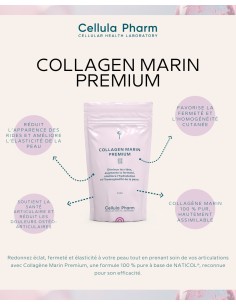 Collagène Marin Premium | Anti-aging supplement for skin and joints - Cellula Pharm 2