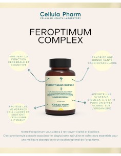 Feroptimum Complex | Highly assimilable iron supplement - Cellula Pharm 2