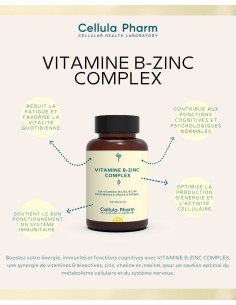 Vitamin B-Zinc Complex | Fatigue reduction and immune support - Cellula Pharm 2
