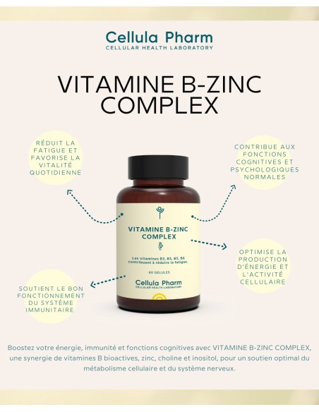Vitamin B-Zinc Complex | Fatigue reduction and immune support - Cellula Pharm