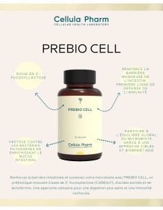 PREBIO CELL | Innovative prebiotic to strengthen the intestinal microbiota - Cellula Pharm 2