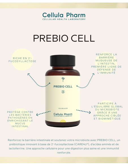 PREBIO CELL | Innovative prebiotic to strengthen the intestinal microbiota - Cellula Pharm