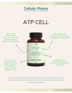 ATP CELL | Antioxidants and vitamins for cellular energy - Cellula Pharm 2