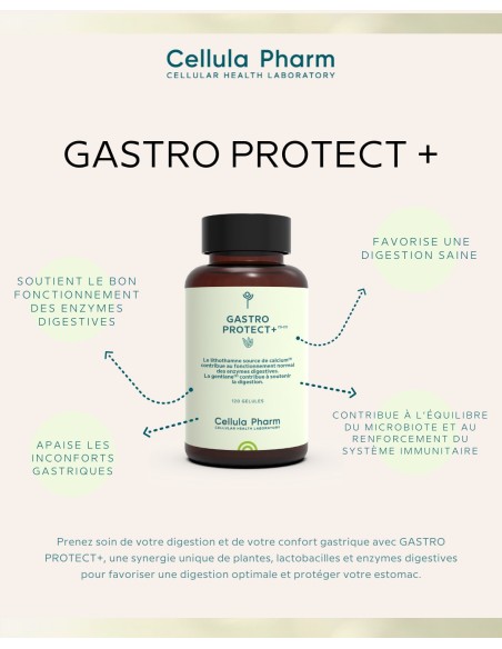 Gastro Protect+ | Digestive support and gastric protection - Cellula Pharm
