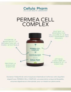 Permea Cell Complex | Digestive wall support and immune enhancement - Cellula Pharm 2