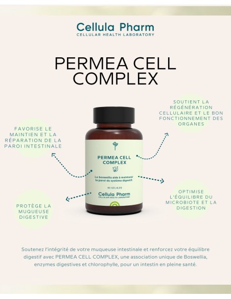 Permea Cell Complex | Digestive wall support and immune enhancement - Cellula Pharm