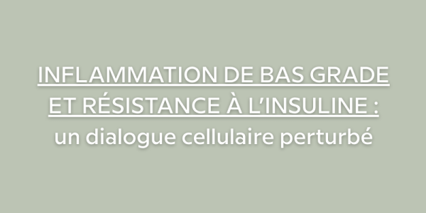 Inflammation de bas grade et résistance à l’insuline : un dialogue cellulaire perturbé