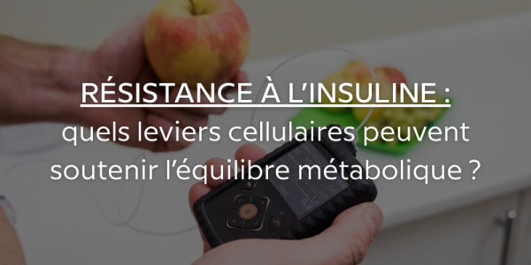 Résistance à l’insuline : quels leviers cellulaires peuvent soutenir l’équilibre métabolique ?